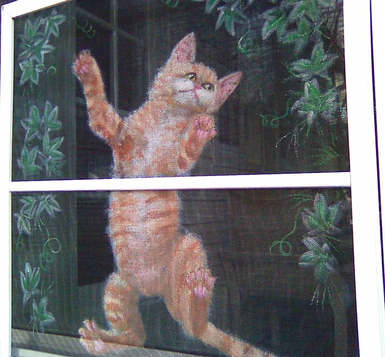 Window Screen Painters Art Gallery